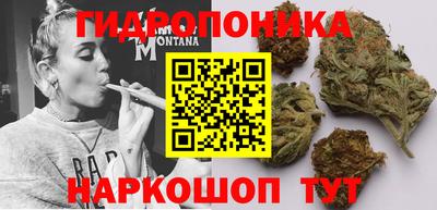 прущие грибы Ливны